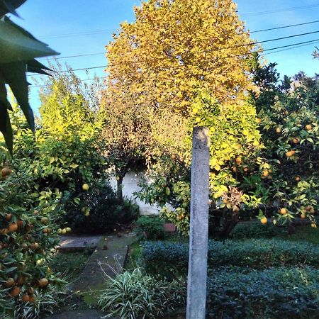 Casa Xantarim Bed and Breakfast Santarém Εξωτερικό φωτογραφία