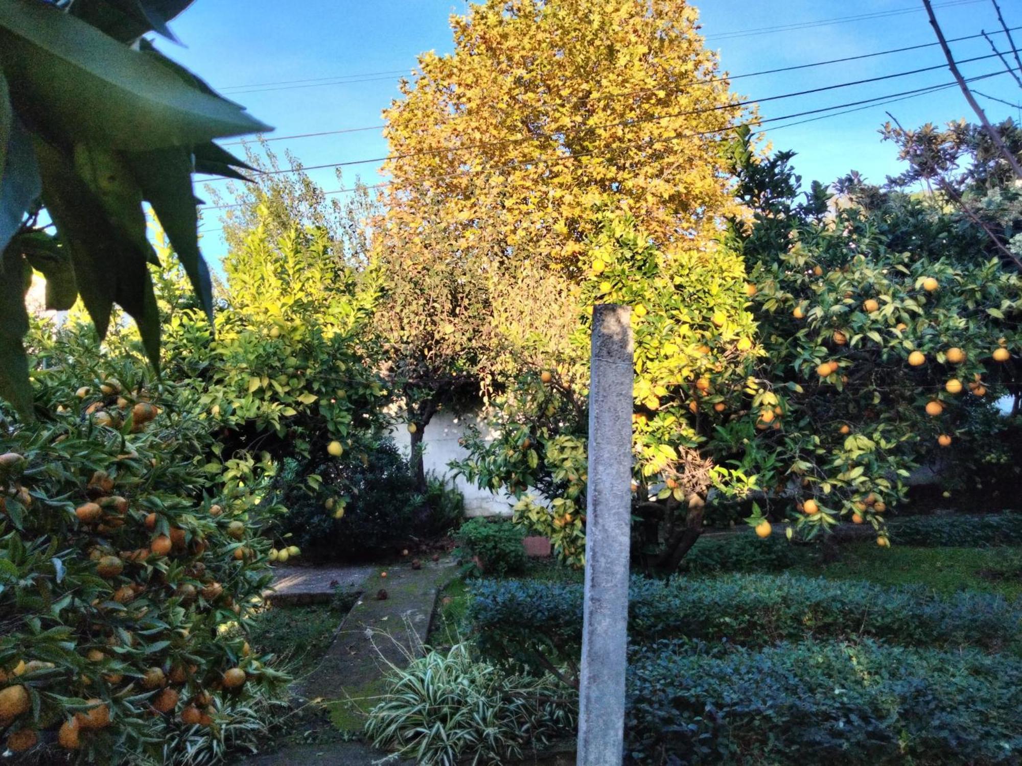 Casa Xantarim Bed and Breakfast Santarém Εξωτερικό φωτογραφία