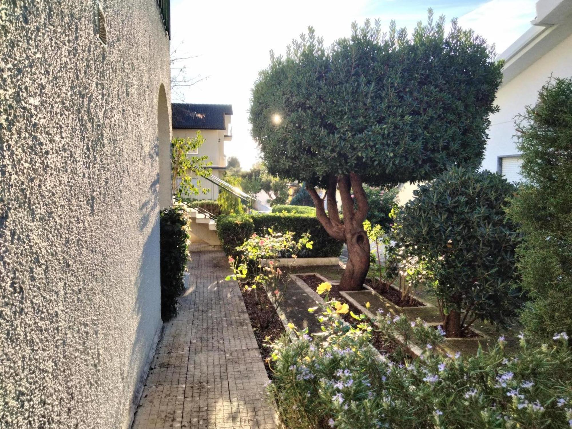 Casa Xantarim Bed and Breakfast Santarém Εξωτερικό φωτογραφία